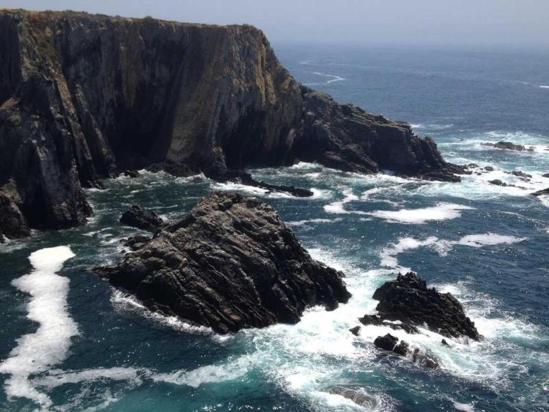 Proin at mauris curae consequat finibus netus in suscipit tellus habitasse parturient