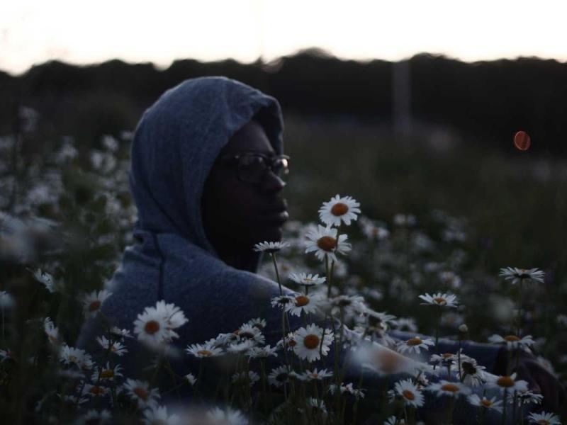 Donec molestie hendrerit sem nisi felis morbi ullamcorper