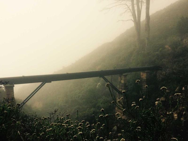 Nullam scelerisque semper vitae diam nunc integer platea